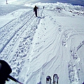 Caproni_18