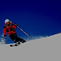 Caproni_28
