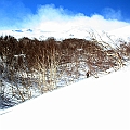 Caproni_05