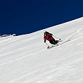 Caproni_31