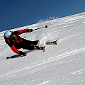 Caproni_33