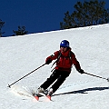 Caproni_37