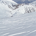 Caproni_41