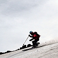 Caproni_19