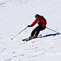 Caproni_37