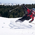Caproni_67