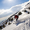 Caproni_24