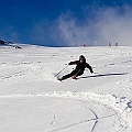 Caproni_46