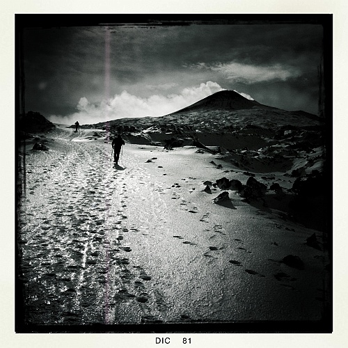 Caproni_18