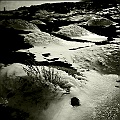 Caproni_12