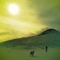 Caproni_21