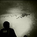 Caproni_24