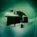 Caproni_26
