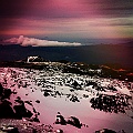 Caproni_37