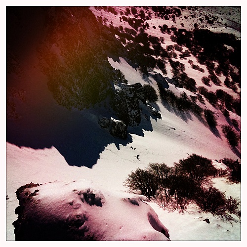 caproni_37