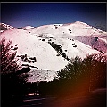 caproni_11