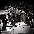 caproni_23