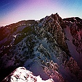 caproni_31