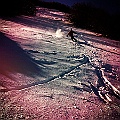 caproni_39