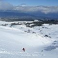 caproni_29
