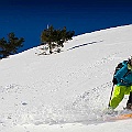 caproni_37