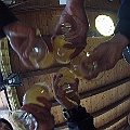 caproni_46