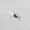 Caproni_26