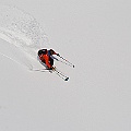 Caproni_31