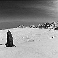 Caproni_30