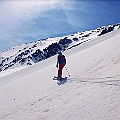 Caproni_31