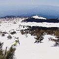 Caproni_18