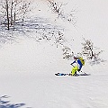 Caproni_19