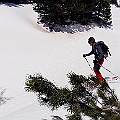 Caproni_20
