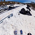 Caproni_29