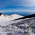 Caproni_36