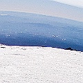 Caproni_37