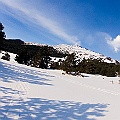 Caproni_48