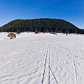 Caproni_49